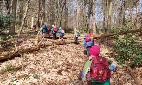 Natur-Rallye – Rätseln & Entdecken im Wald