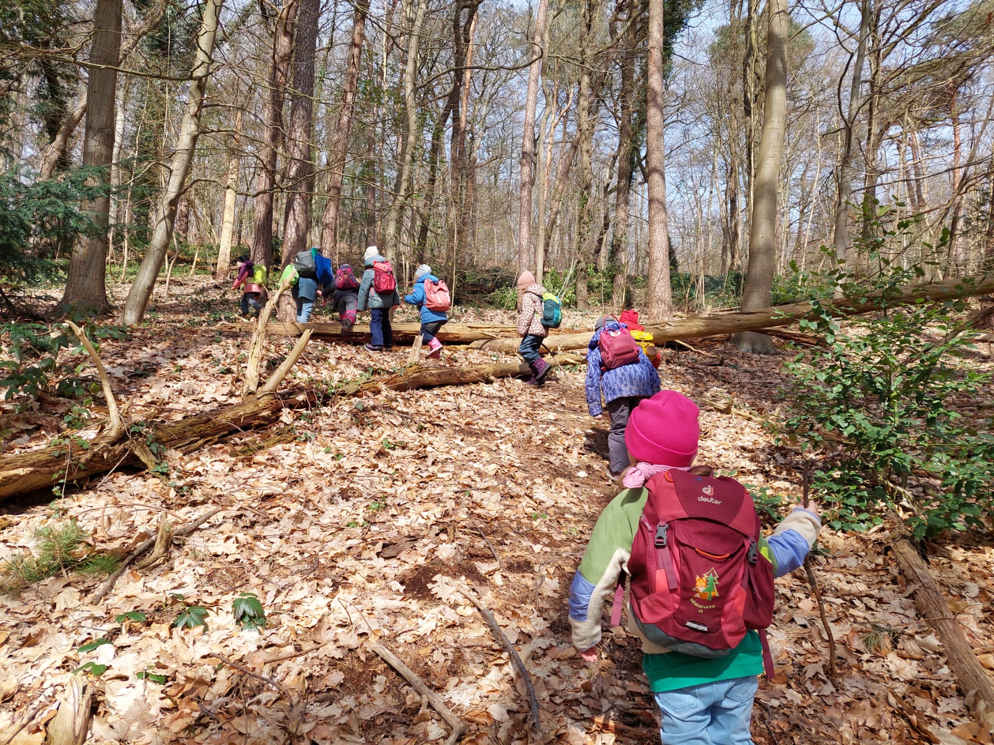 Natur-Rallye – Rätseln & Entdecken im Wald
