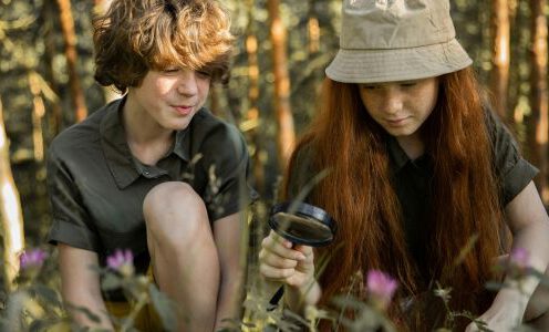 Wildpflanzen entdecken – Kräuter, Geschmack & Naturwissen