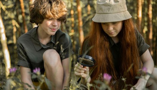 Wildpflanzen entdecken – Kräuter, Geschmack & Naturwissen
